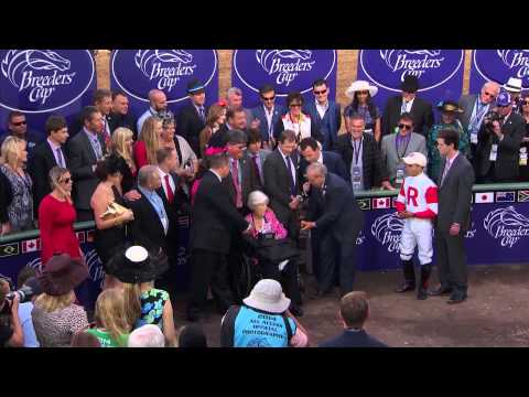 2014 Breeders' Cup Turf Sprint