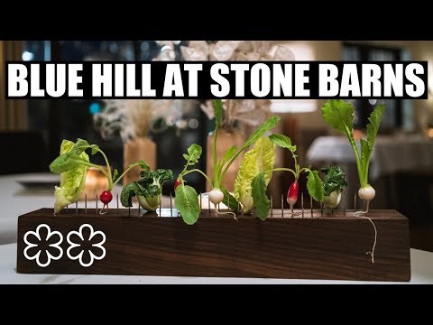 What a Meal at Blue Hill at Stone Barns Looks Like – Dan Barber’s New York Destination Restaurant