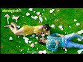 Aj Se Janeman Dil Hai Tumhara WhatsApp Status Mandaljisk