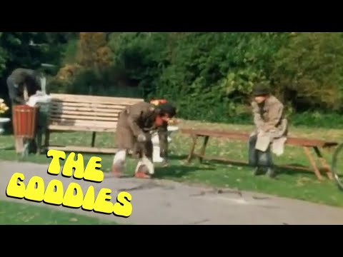 Down and Out in the Park: The Goodies' Struggle to Survive