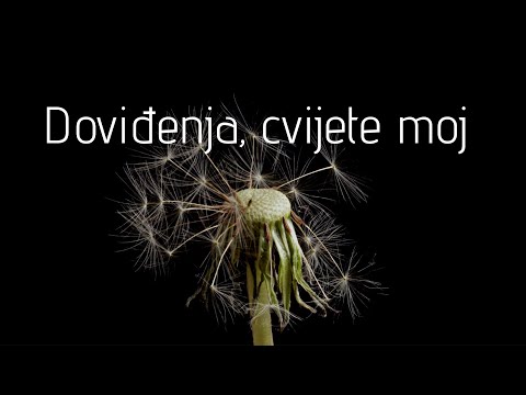 Dražen Zečić - Doviđenja, cvijete moj (Offcial lyric video)
