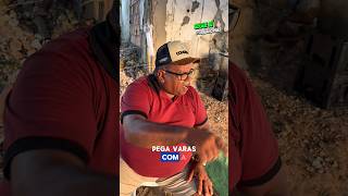 Pega varas com a boca 🤣 #shorts #humor #laele #baiano #comedia #baianopara