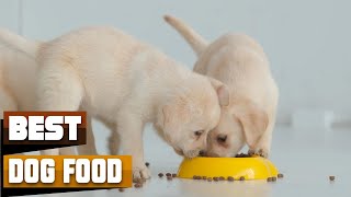Best Dog Food In 2026 - Top 10 Dog Foods Review