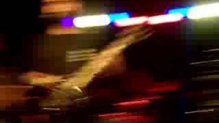 Amtrak Is For Lovers