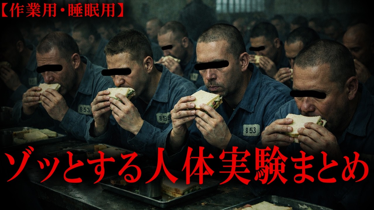 【睡眠用】ゾッとする人体実験まとめ【たっくーTV/作業用】