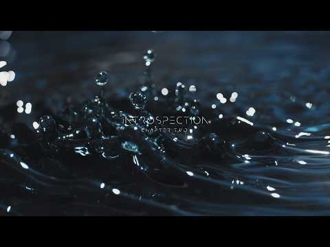 iNTROSPECTION pt.2 - Flowry Selections (KREAM - MEDUZA - Royksopp - Parisi- AYDEN LOYDE) [House Mix]