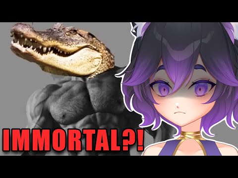 These guys are IMMORTAL?! (MoreParz React)