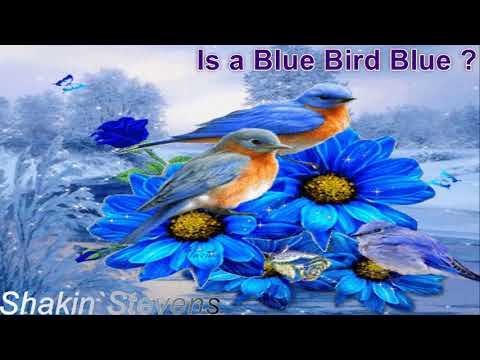 Rockclassics: Shakin`Stevens - Is a Blue Bird Blue ?