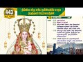 443ஆவது ஆண்டு பெருவிழா பனிமய அன்னை பேர�