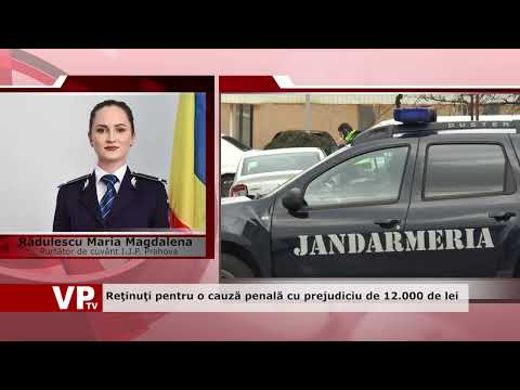 Reţinuţi pentru o cauză penală cu prejudiciu de 12.000 de lei