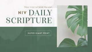 Niv Daily Scripture From Zondervan Bibles (Super Giant Print