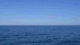 Everything is Beautiful by Starfield