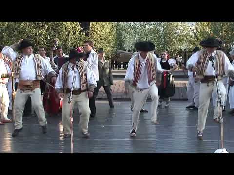 20050624 40. HELPA FASIANGY KYCERA Z CIERNEHO BALOGU