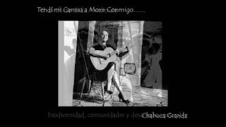 SUSANA BACA - Silencio Para Ser Cantado (La Camisa)