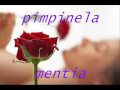 pimpinela - mentia.wmv