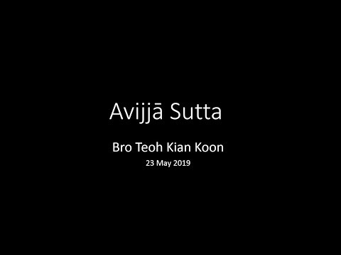 Avijja Sutta 190523