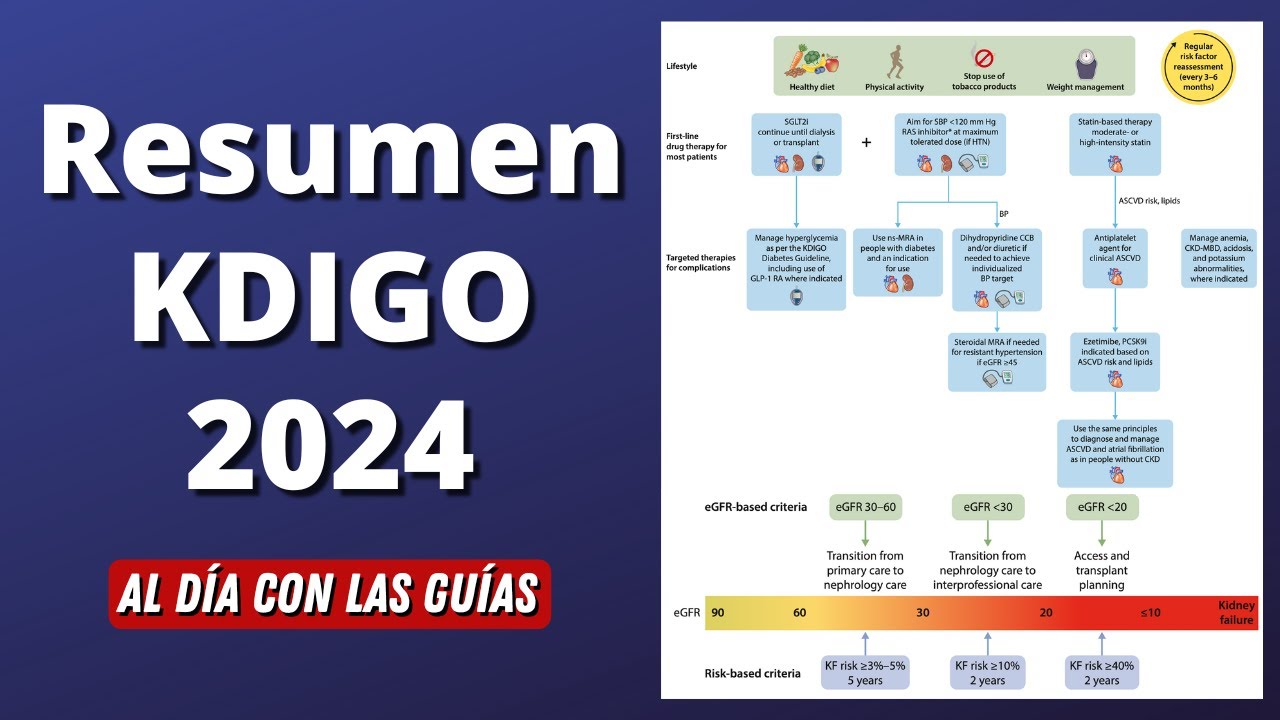 Lo que DEBES saber de la Nueva Guía de Enfermedad Renal Crónica KDIGO 2024 #AlDíaConLasGuías