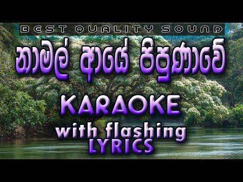 Namal Aye Pipunawe Karaoke with Lyrics (Without Voice)