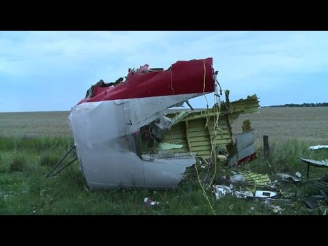 Flug MH17 wurde von Buk-Rakete abgeschossen