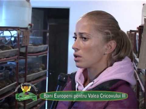 Reportaj VP TV – GAL Valea Cricovului III – 27 noiembrie 2014