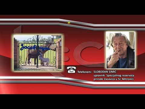 17. Dan magarica u Zasavici