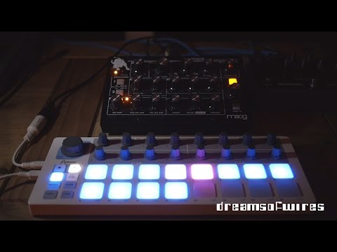 DreamsOfWires - Moog Minitaur & Arturia Beatstep