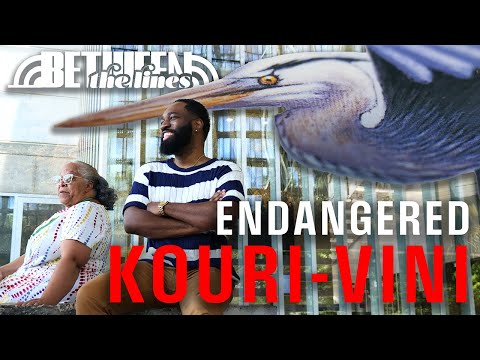 Lavi en Kouri-Vini | Exploring Louisiana's Endangered Language