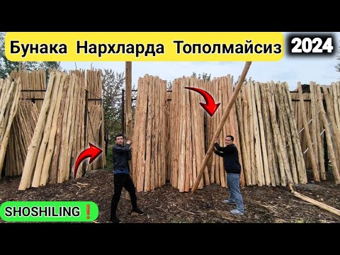 ОПТОМ Базадан Терак Тусин Нархлари