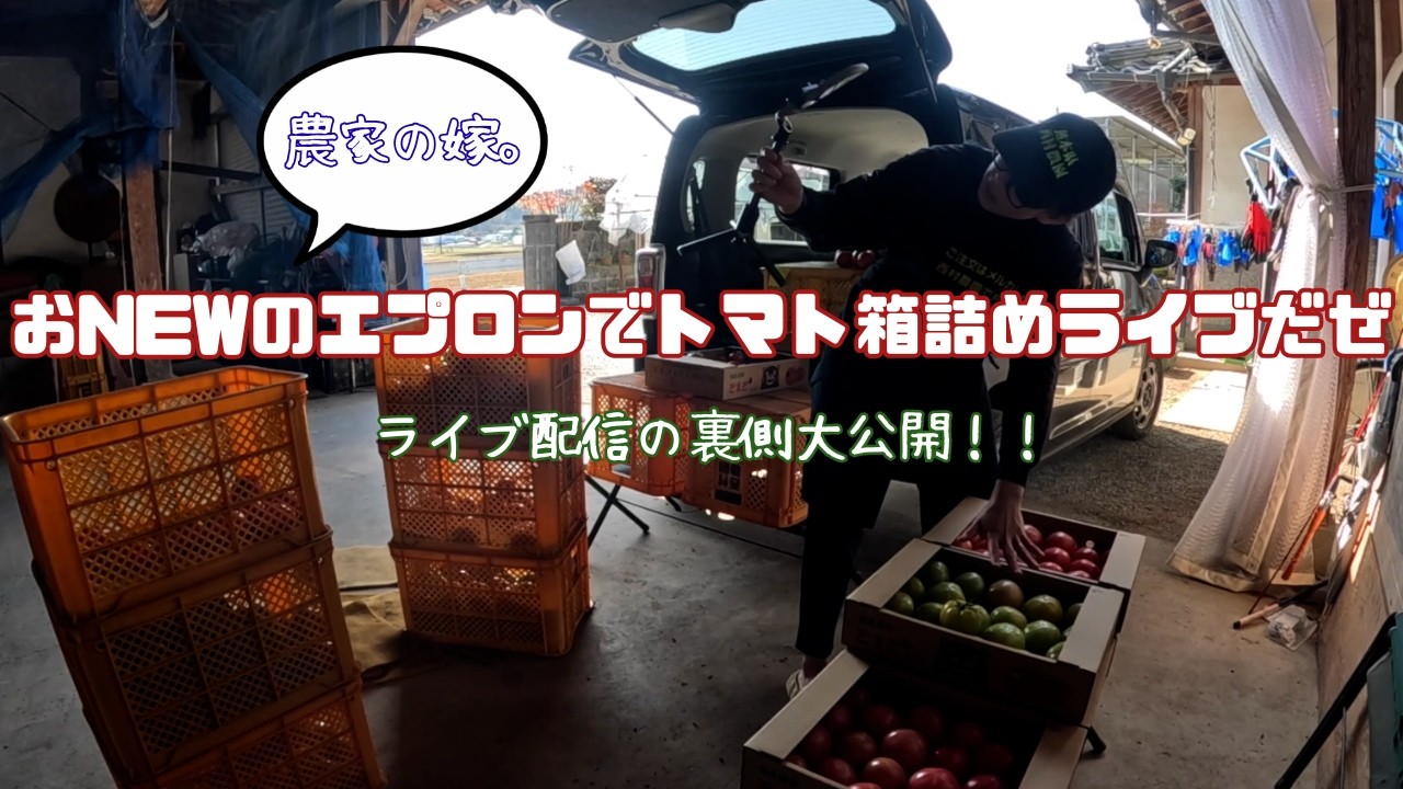 箱詰めライブの裏側！編