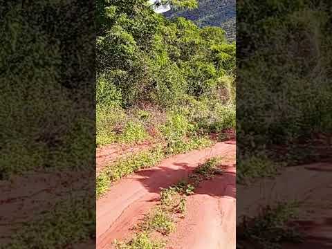 notícias serra dá Caiçara Maravilha Al 11/06/2026