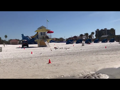Playas cercanas a Orlando para visitar Daytona & Clearwater beach
