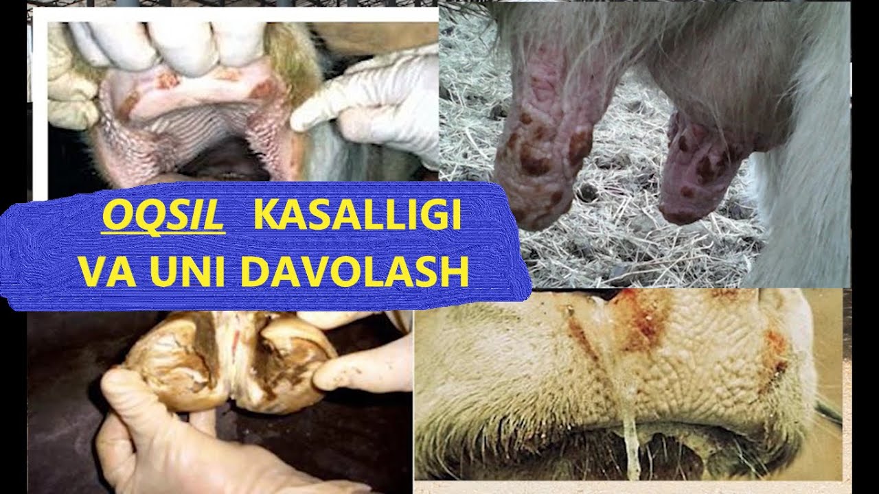 Сексуалды жетілген жалаңаш әйел