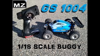 MZ GS1004 RC BUGGY REVIEW - UNDER $50 WLtoys A959?