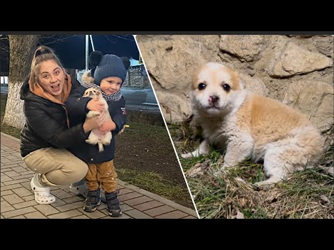🐶❤️AM GĂSIT UN CĂȚELUȘ NOAPTEA😮CE AM FĂCUT cu EL!