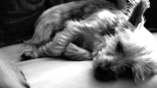 This One's For Randy