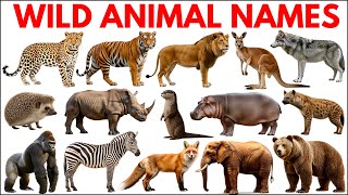 Wild Animals for Kids | Learn 20 Wild Animal Names Lion, Tiger, Elephant & More #wildanimalsforkids