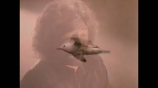 Supertramp -  Free As A Bird