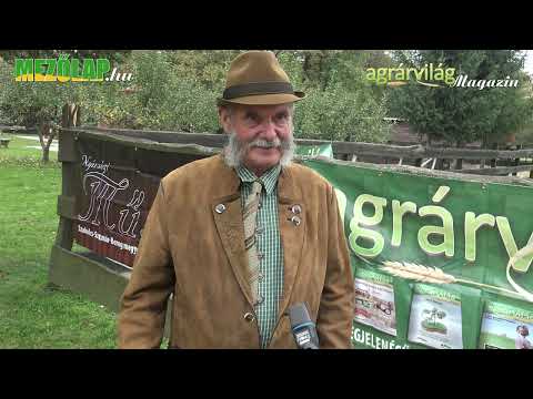 SIKERES PROGRAM A MURAKÖZI LÓ REKONSTRUKCIÓJA – Bartók László