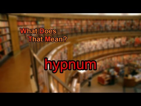 What does hypnum mean?