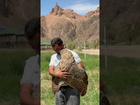 Просто любовь🫂🦉
