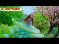 Raat Din Tujhko Main Yaad Karti Hoon Romantic Status Video