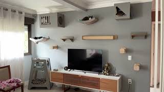 CASA GATIFICADA | Entenda a Importância da VERTICALIZAÇÃO para o BEM-ESTAR dos Gatos!