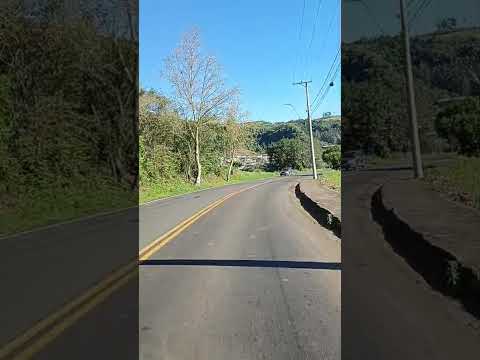Av. Capivara, Lindolfo Collor- RS .