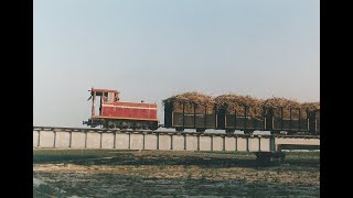 台灣糖業鐵道與貝多芬田園交響曲的相遇-第二樂章(Taiwan Sugar Railway)