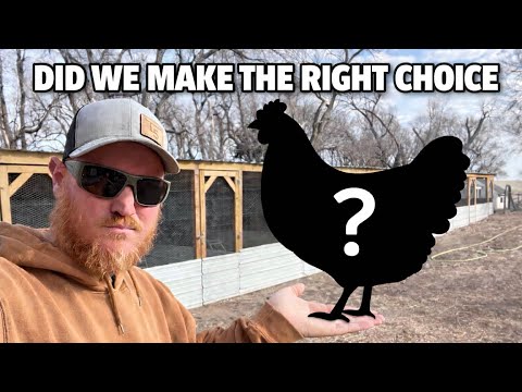 What Chickens Survived Bird Flu?