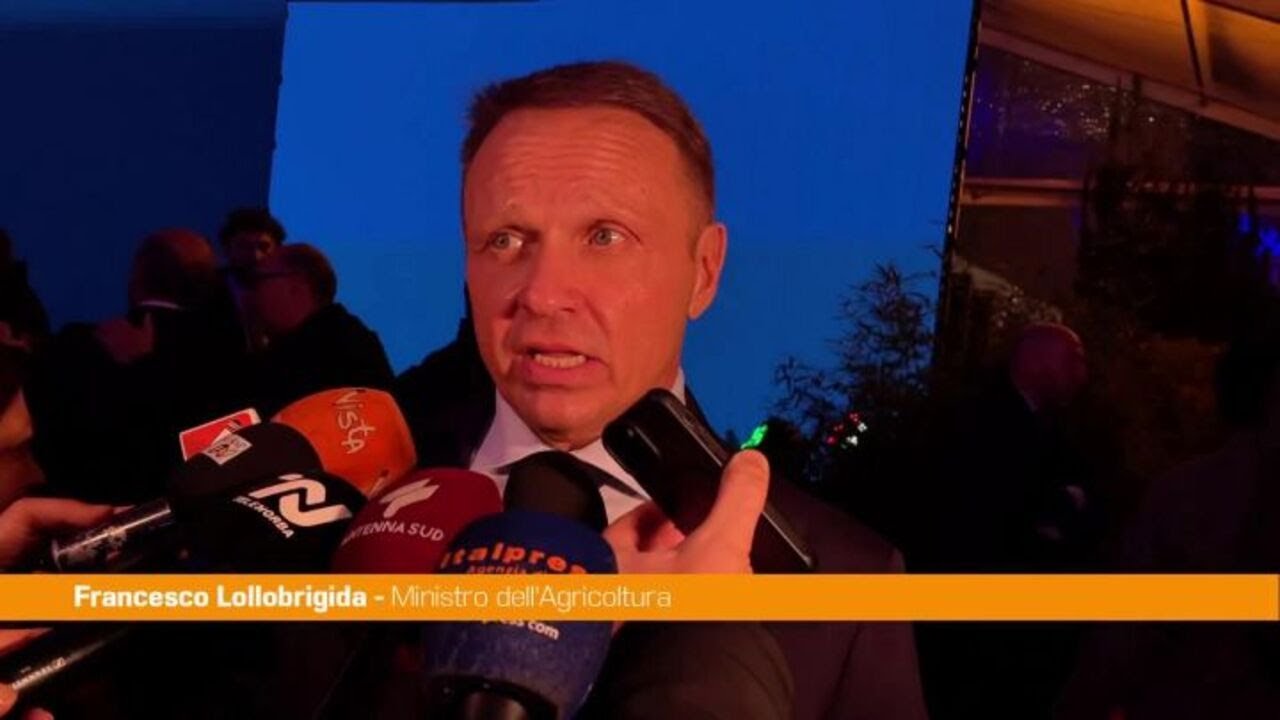 Ue, Lollobrigida "Padri fondatori lavorarono per sostegno agricoltori"