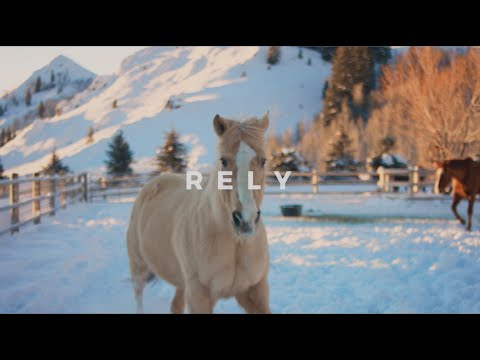 Scotty LVX - Rely [Official Music Video]