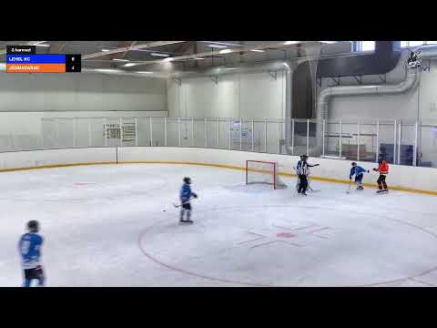 2021.02.20 LEHEL HC - SZEKSZÁRDI JÉGMADARAK U14/B 2.-3.harmad