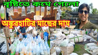 বৃষ্টির মধ্যেই চলছে অঙ্কুরহাটির হাট | Ankurhati Fish Market | Ankurhati Pet Market | Fish Pet Market