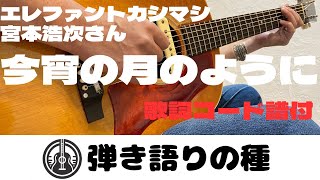 エレファントカシマシ宮本浩次さん【今宵の月のように】うたってみた(弾き語り)カバー【歌詞コード譜付】
